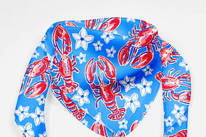 Preppy Red & Blue Lobster Pattern