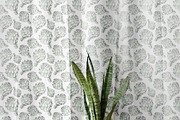 Vegetables. Sketches and patterns, an Object Graphic by Canatic (Thumbnail 6 of 8)