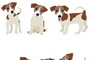 Jack Russell Terrier, an Animal Illustration by Orangepencil (Thumbnail 7 of 12)