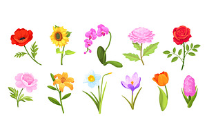 Cartoon flower arrangement. Cute, an Object Illustration by Stock-Smart-Start