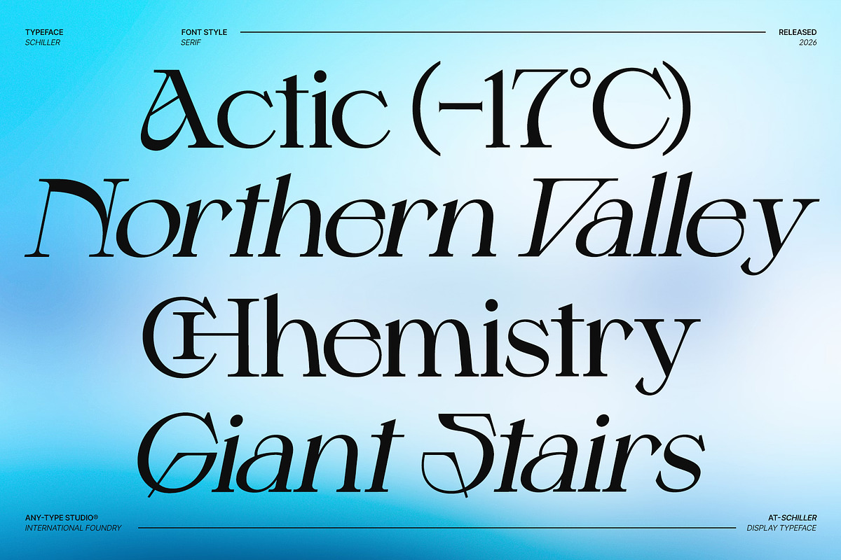 Schiller - Contemporary Serif, a Serif Font by Any-Type® Foundry (Photo 3 of 13)