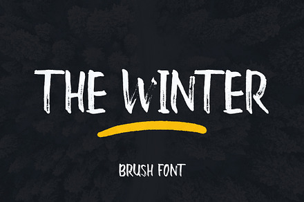 The Winter Brush, a Script Font by MSG Studio
