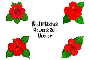 Red Hibiscus Flowers Set Vector, a Decorative Illustration by Awieee1