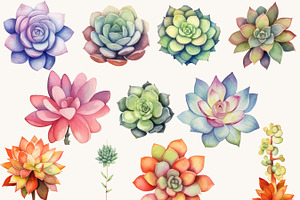 Watercolor Succulent Clipart Bundle