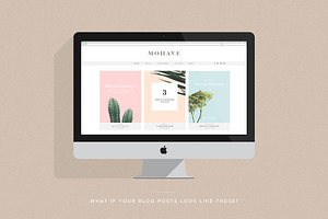Mohave Blogger Pack