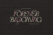 Hearts Entangled Display Typeface, a Script Font by Nicky Laatz (Thumbnail 26 of 37)