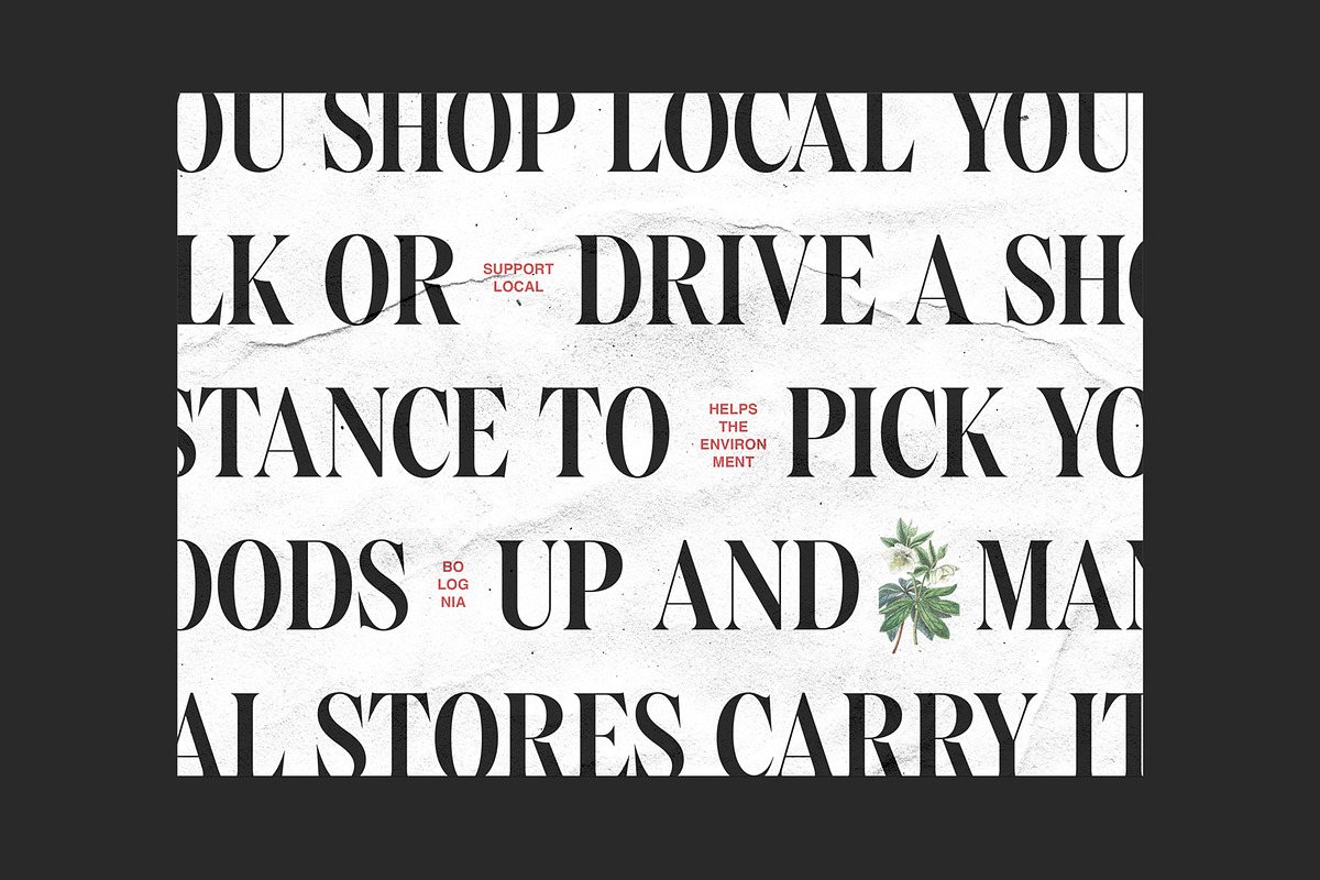Bolognia - Classic Serif, a Serif Font by Craft Supply Co. (Photo 8 of 8)