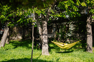 Relaxing in a hammock shaded by lush green trees in a sunny backyard, a Photo by AS photostudio