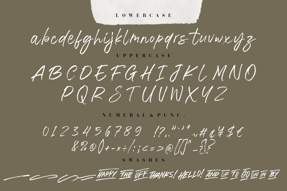 The Brands Quest Signature Brush, a Script Font by Creatype Studio (Photo 8 of 9)