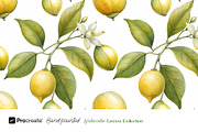 Watercolor Lemons Clipart & Pattern, an Object Graphic by crafty (Thumbnail 9 of 15)