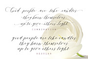 Shanti Script, a Script Font by Areatype (Thumbnail 3 of 8)