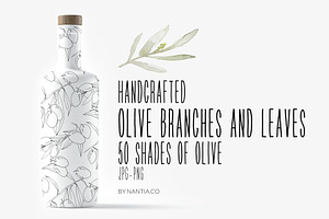 Olive Branch & Leaves Illustrations