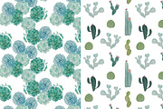Watercolor Cacti & Succulent 4 pack, an Illustration by Valeri Nick (Thumbnail 6 of 6)