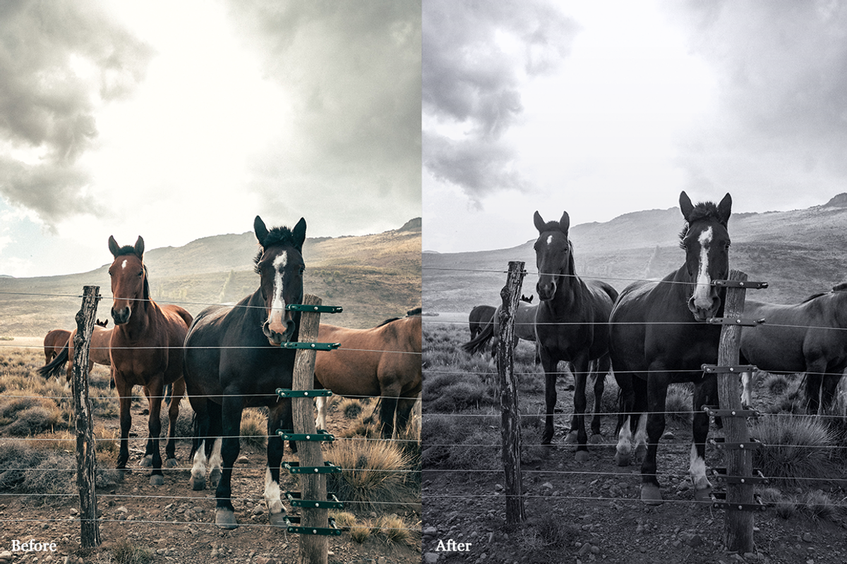 Black & White - Photoshop Actions, an Action Add-On by Filterlate (Photo 9 of 10)