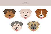 Aidi dog clipart, an Animal Illustration by pet design shop (Thumbnail 5 of 6)