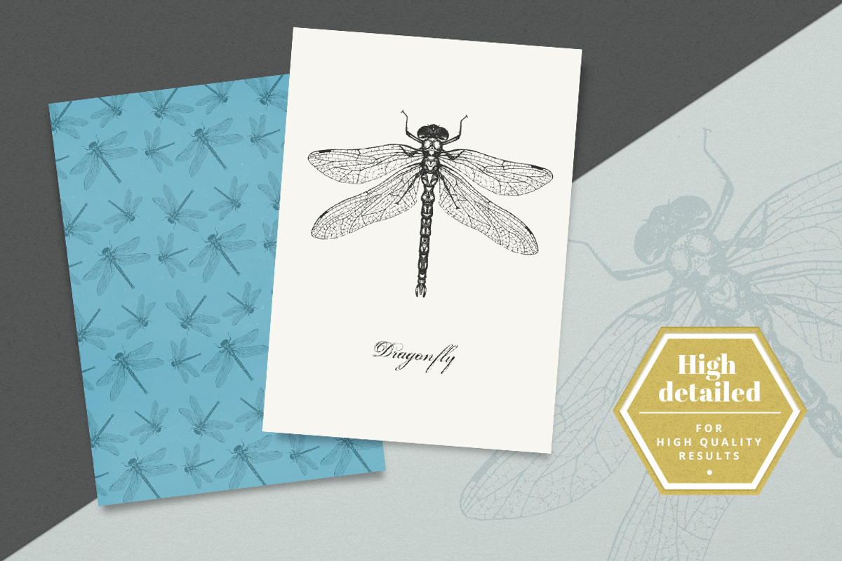 Dotwork Vector Insects, an Animal Illustration by nordicworker (Photo 2 of 5)
