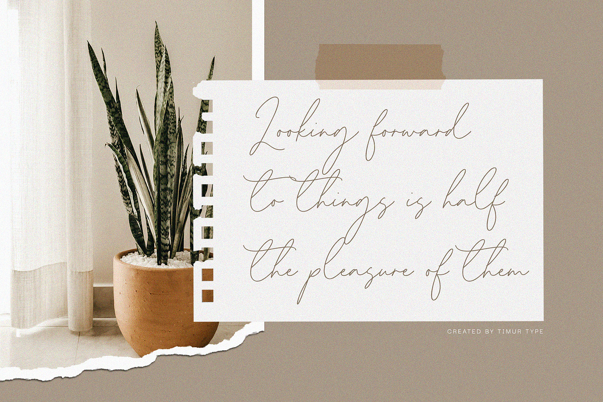 Homeland - Handwritten Script Font, a Handwritten Font by Timurtype (Photo 2 of 7)