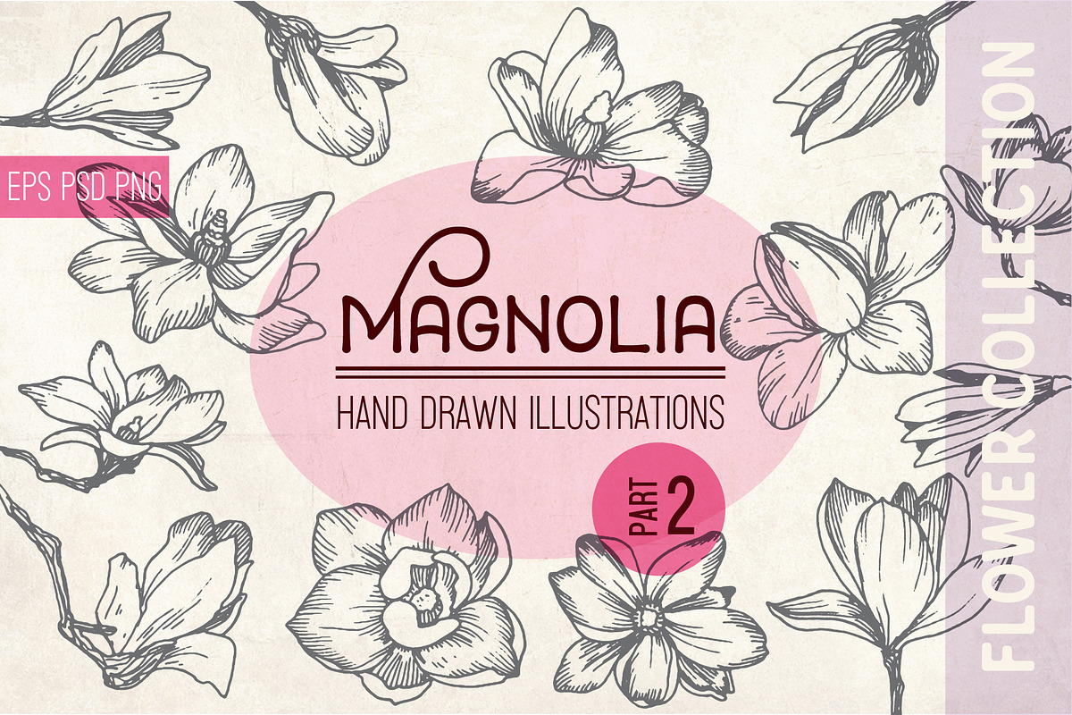 Magnolia in engraving style. Part 2, a Decorative Illustration by Alena Kaz (Photo 1 of 5)