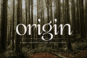 gemonica - experimental serif font, a Serif Font by Sensatype (Thumbnail 9 of 17)