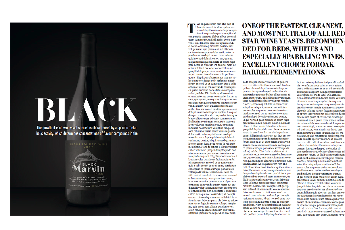 Magazine Template, a Magazine Template by Cristian Villegas Studio (Photo 10 of 14)