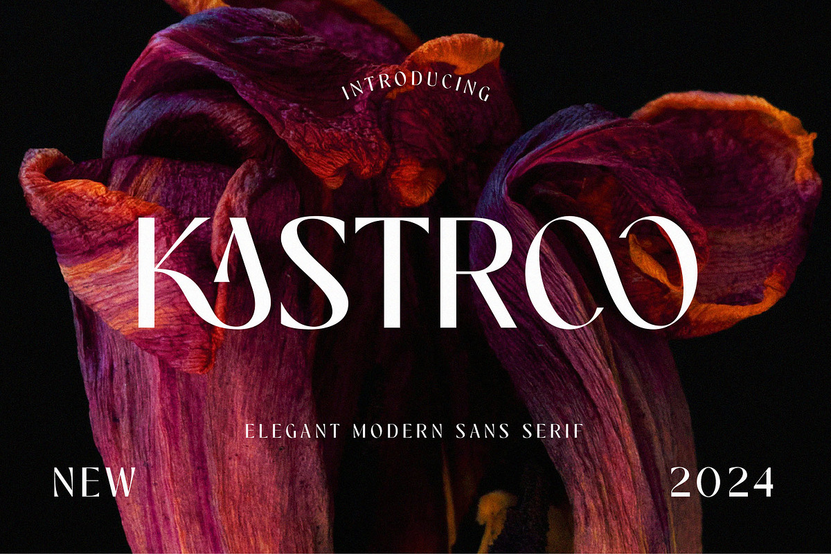 KASTROO, a Sans Serif Font by Muflieart (Photo 1 of 7)
