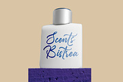 Monetz Clakson Bold Calligraphy Font, a Serif Font by stylishtype.co (Thumbnail 14 of 20)