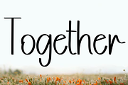 Collection, a Sans Serif Font by InermediaSTUDIO (Thumbnail 4 of 6)