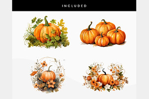 Orange Pumpkins Flowers PNG Clipart