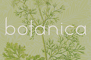 Botanica. Stylish modern and classic, a Sans Serif Font by LostandFoundry (Thumbnail 1 of 6)