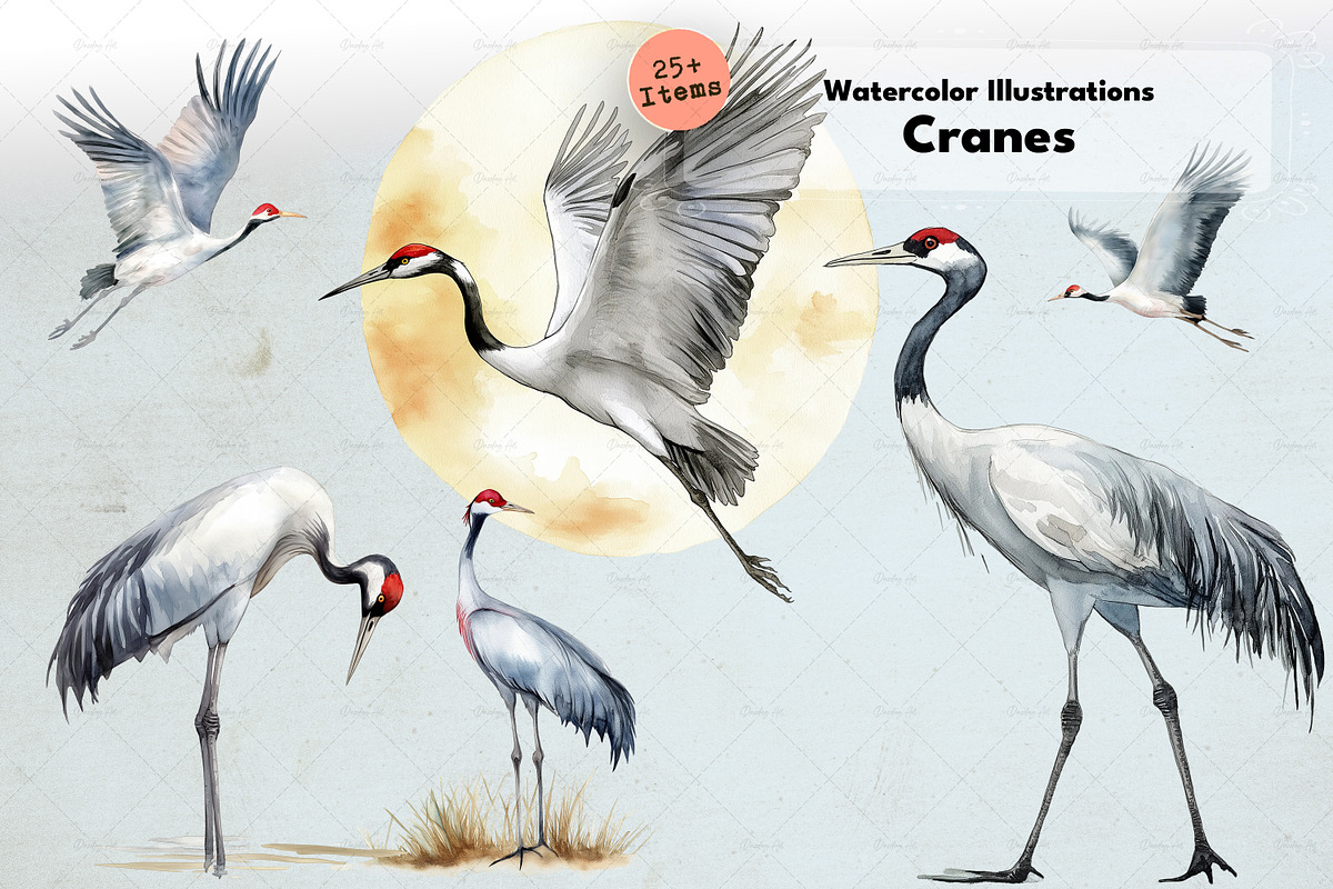 Elegant Watercolor Cranes, an Animal Illustration by Dazzling Art Boutique (Photo 1 of 5)