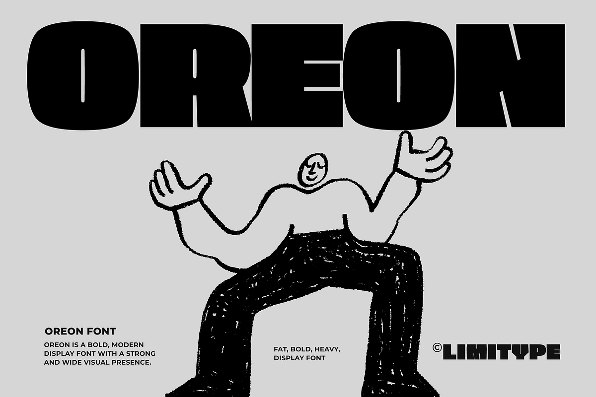 Oreon - Bold Font, a Sans Serif Font by limitype (Photo 1 of 15)