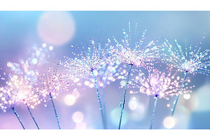 Dew drops on dandelion seeds serene, a Nature Photo by Lermont51