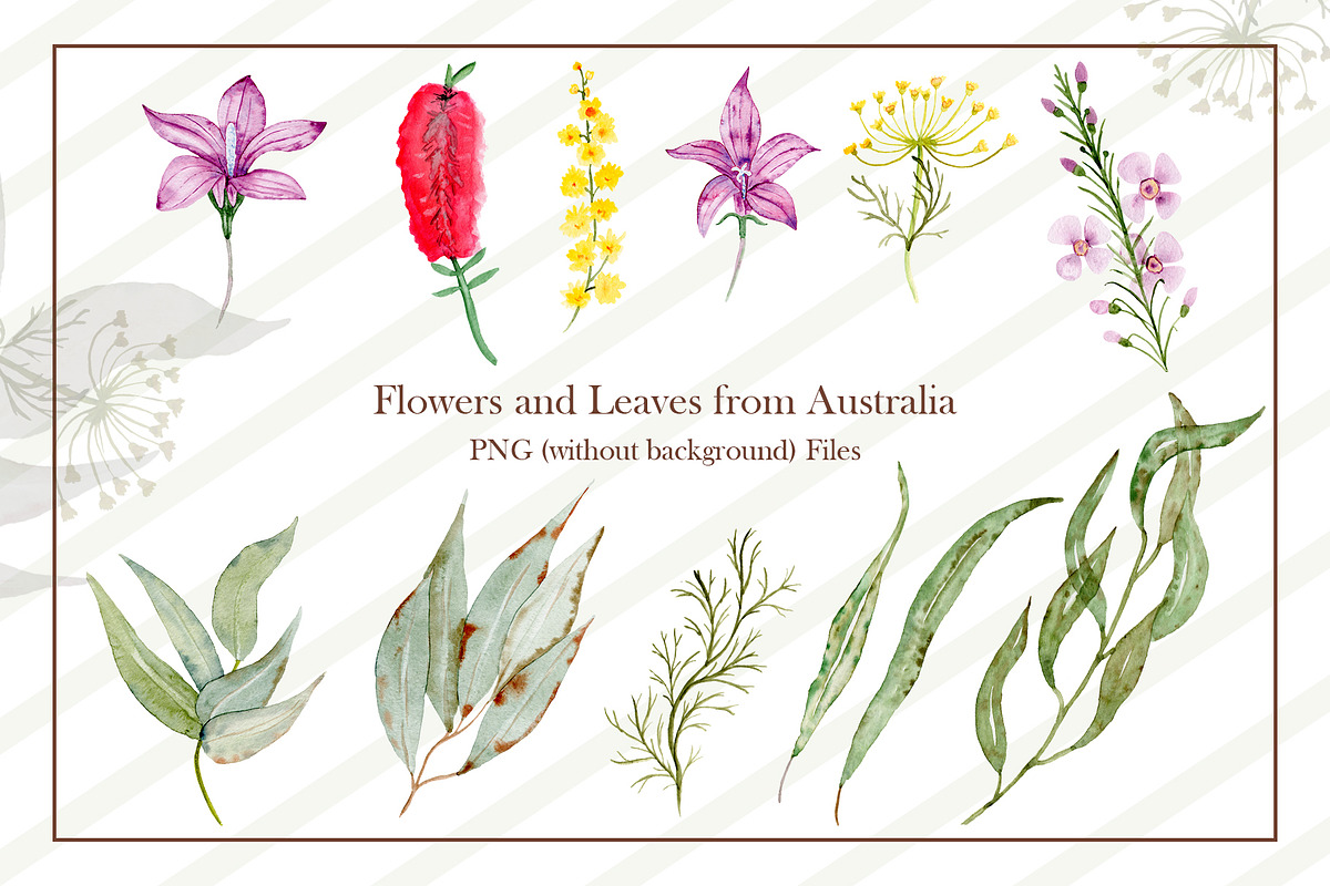 Watercolor Koala Collection, an Illustration by TanataDesign (Photo 3 of 10)