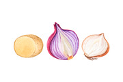 Watercolor fruit&vegetable slices, a Food Illustration by Katya Zlobina (Thumbnail 9 of 14)