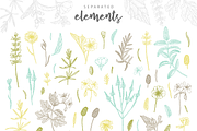 Herbalitica Vol.2 Flower Set, a Healthcare Illustration by eclosque (Thumbnail 11 of 12)