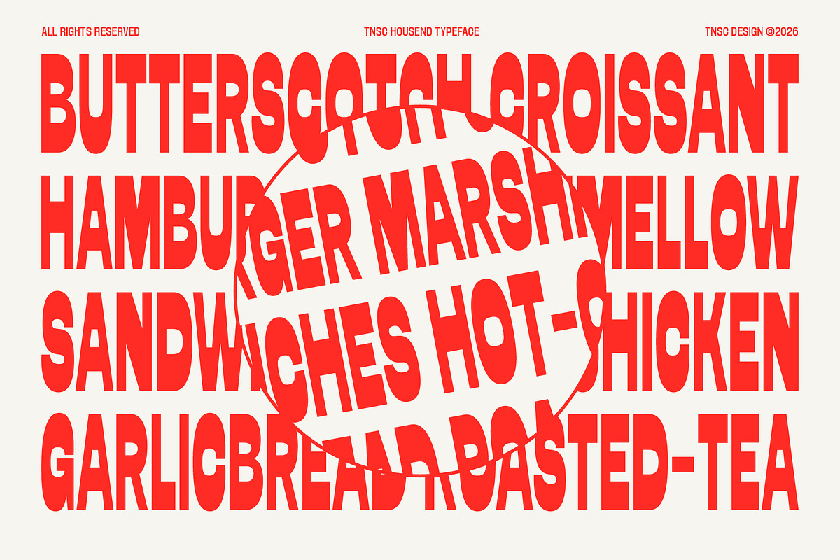 Housend - Condensed Sans Serif, a Sans Serif Font by The Native Saint Club (Photo 2 of 12)