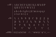 Healing Elegant Serif Typeface Font, a Serif Font by Dylla_studio (Thumbnail 14 of 15)