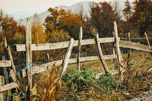 Old broken wooden fence containing fence, rural, and outdoors