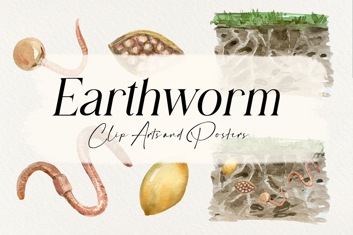 Earthworm Life Cycle Clipart & Print, an Education Illustration by Tati Bordiu (Photo 1 of 3)
