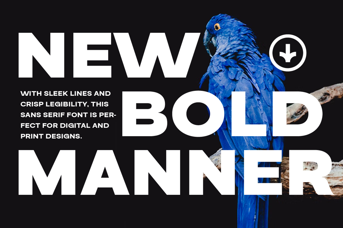Guton Sans Serif Family, a Sans Serif Font by Yukita Creative (Photo 3 of 12)