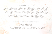 Minimalist – Modern Calligraphy, a Script Font by RedyStudio (Thumbnail 8 of 11)