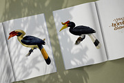 Vintage hornbill illustrations, an Animal Illustration by Natalka Dmitrova art (Thumbnail 10 of 17)