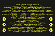 Froot Full Family, a Font by Nguyen Type (Thumbnail 10 of 12)