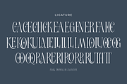 Pearl Tropical, a Serif Font by zaaintype (Thumbnail 10 of 15)