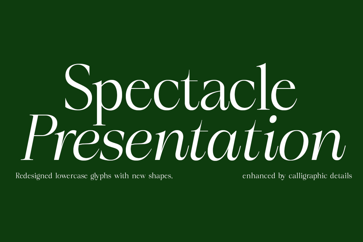 Marvelous, a Serif Font by InkwellTypeCo (Photo 8 of 11)