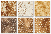 Deer Hide Digital Papers Fawn Fur, a Texture Graphic by Dream Creation (Thumbnail 3 of 7)