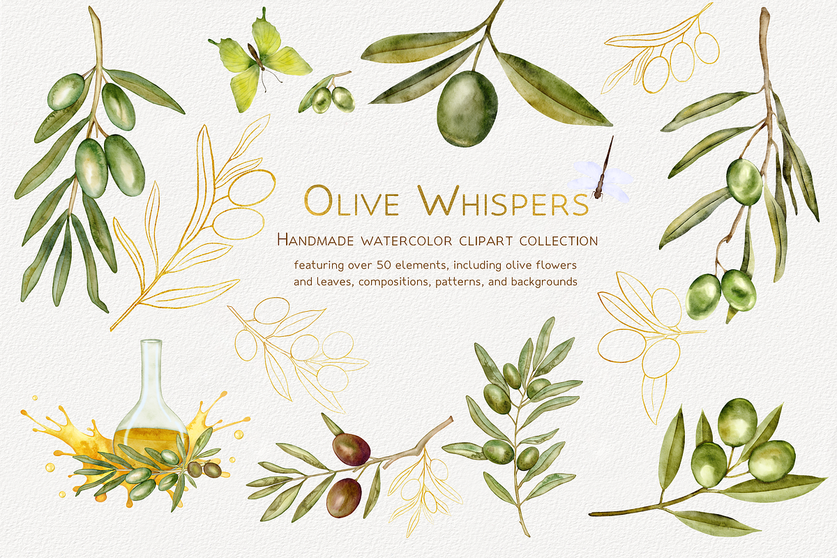 Olive Whispers Watercolor Collection, a Decorative Illustration by Aurella Art (Photo 1 of 15)