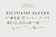 Lemon Glory - Flowers Font, a Script Font by limitype (Thumbnail 9 of 20)