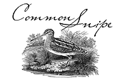 Living Together FC, a Handwritten Font by Intellecta Design (Thumbnail 4 of 5)