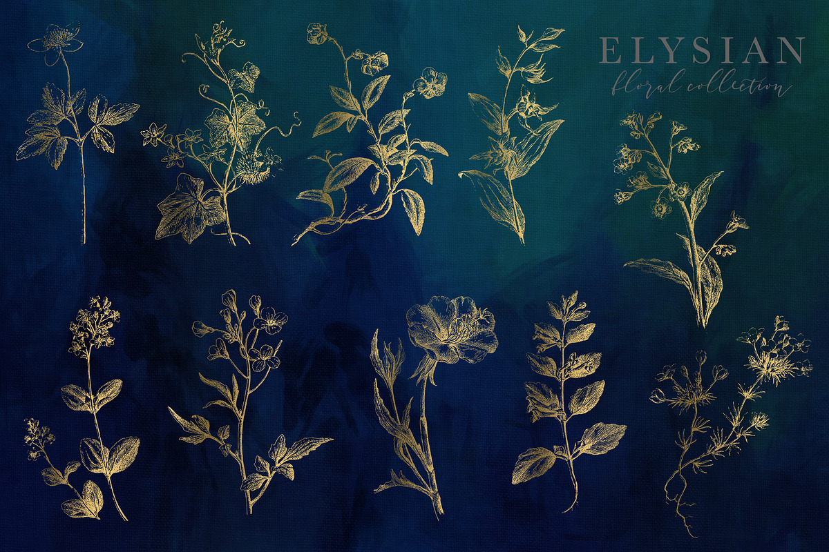 Elysian Floral Collection, an Illustration by Eclectic Anthology (Photo 14 of 15)
